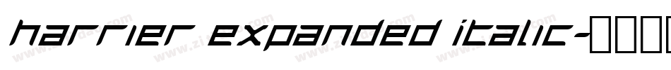 Harrier Expanded Italic字体转换